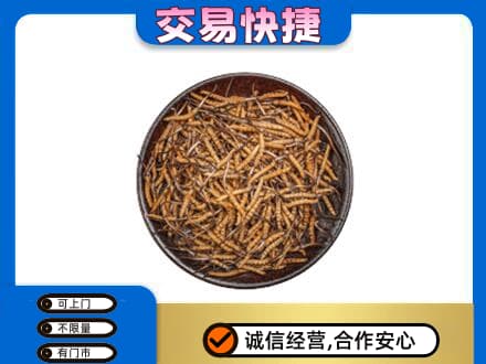 石家庄赵县礼品回收虫草.jpg